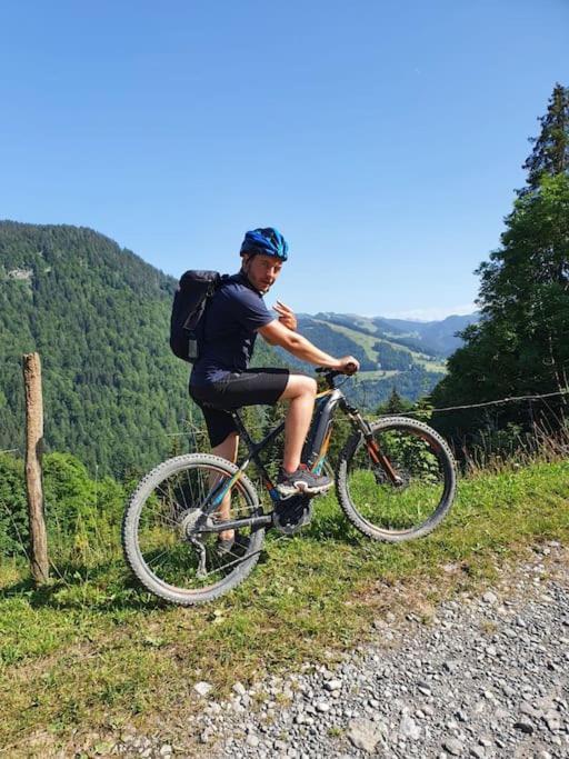 Appartement La Duchere Le Plan-La Giettaz Massif Des Aravis 외부 사진