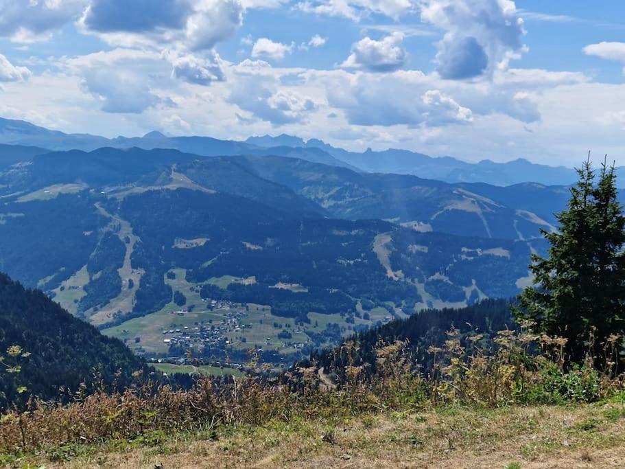 Appartement La Duchere Le Plan-La Giettaz Massif Des Aravis 외부 사진