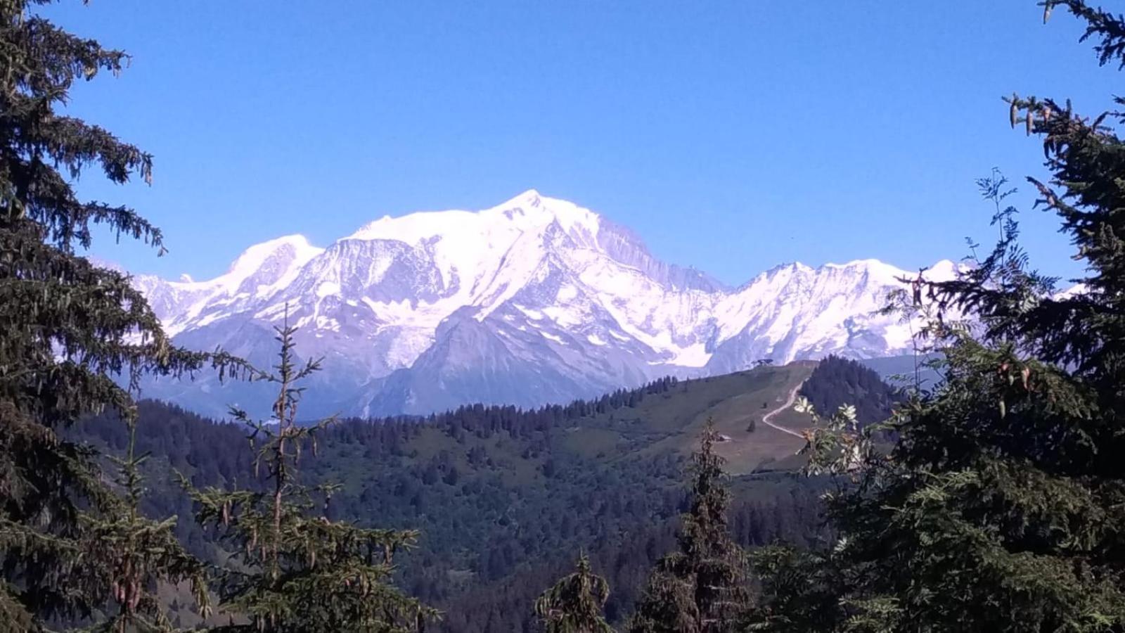 Appartement La Duchere Le Plan-La Giettaz Massif Des Aravis 외부 사진
