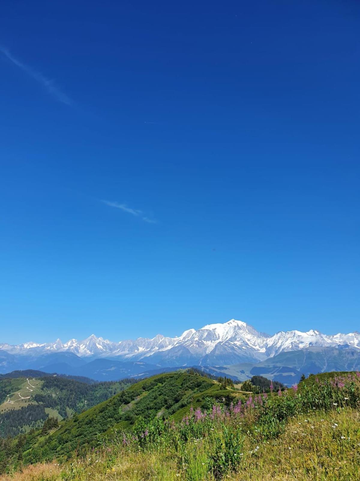 Appartement La Duchere Le Plan-La Giettaz Massif Des Aravis 외부 사진