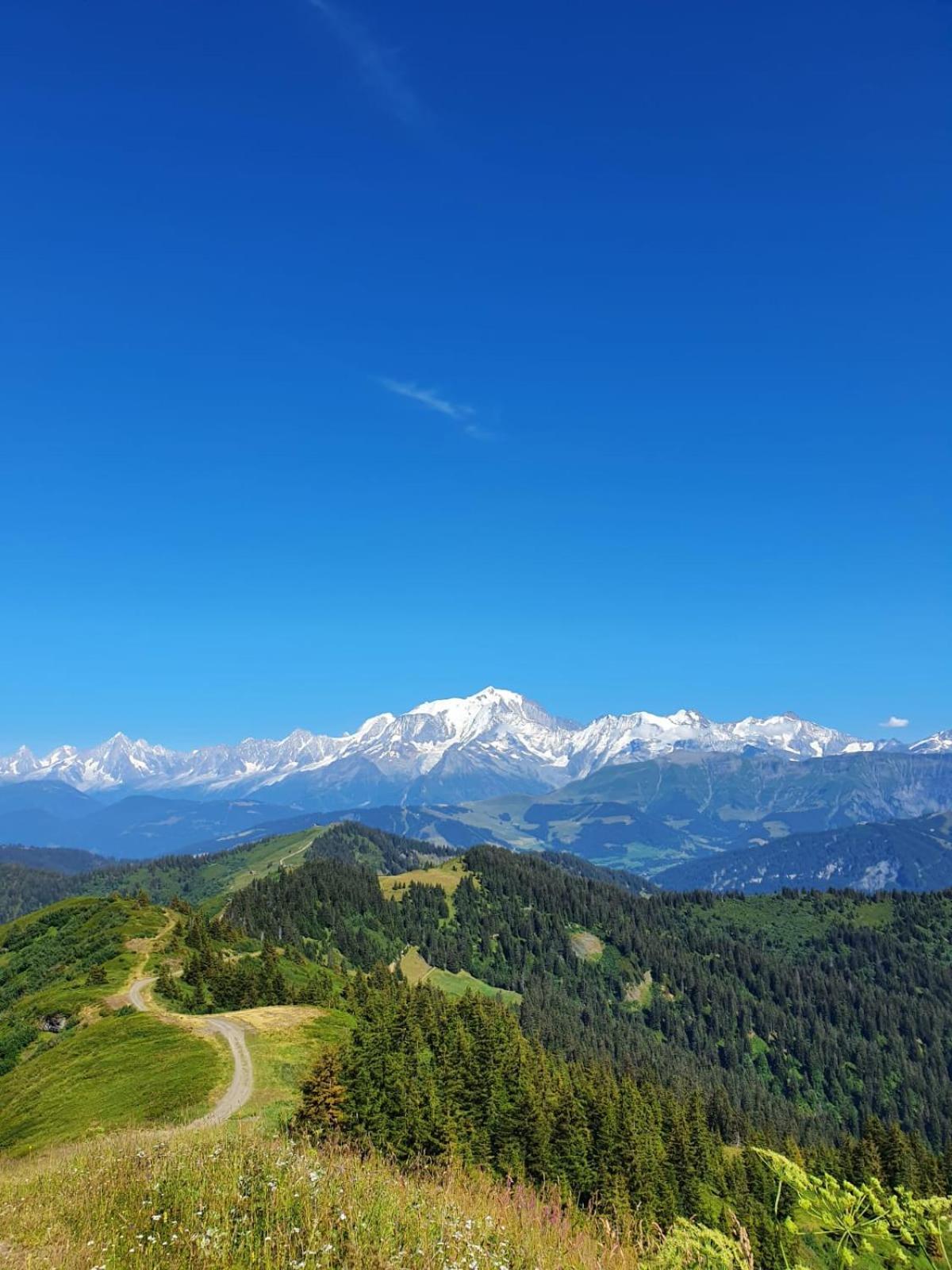 Appartement La Duchere Le Plan-La Giettaz Massif Des Aravis 외부 사진