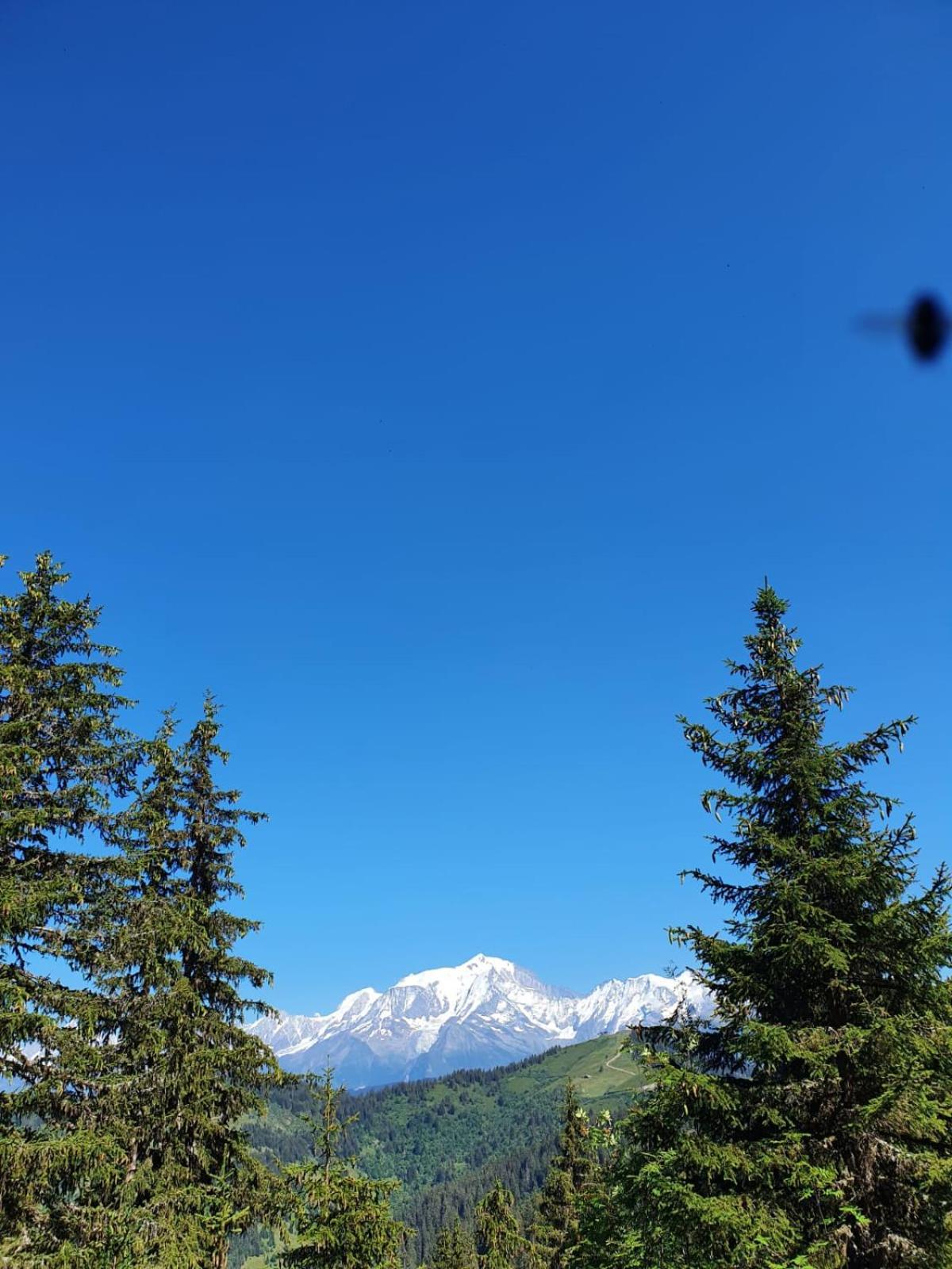 Appartement La Duchere Le Plan-La Giettaz Massif Des Aravis 외부 사진
