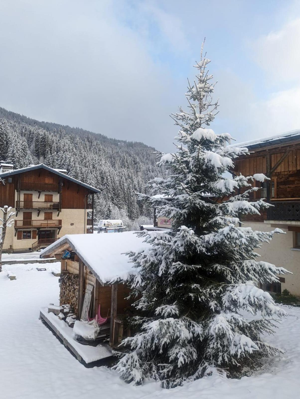 Appartement La Duchere Le Plan-La Giettaz Massif Des Aravis 외부 사진